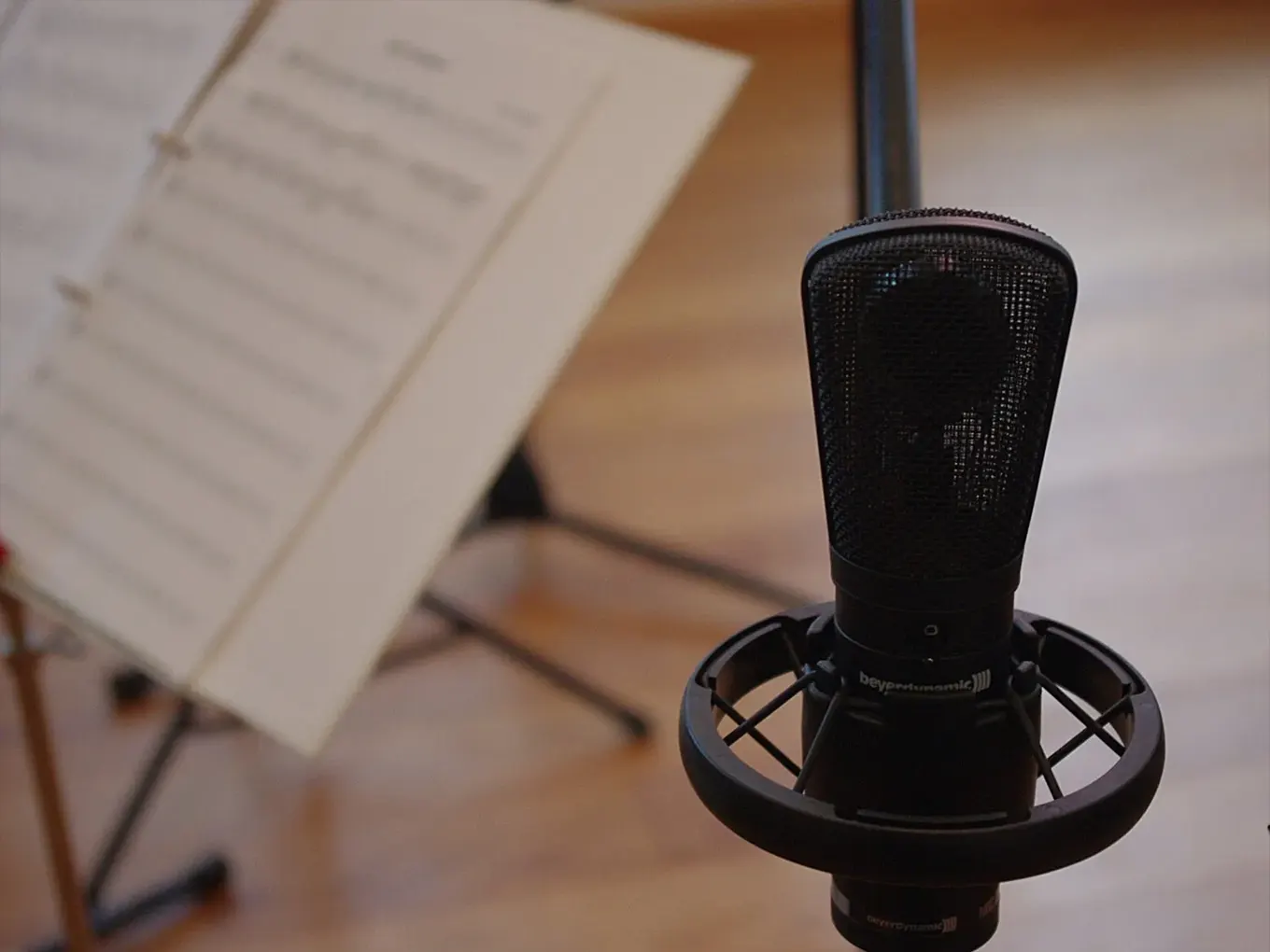 Singing Classes in Bangalore